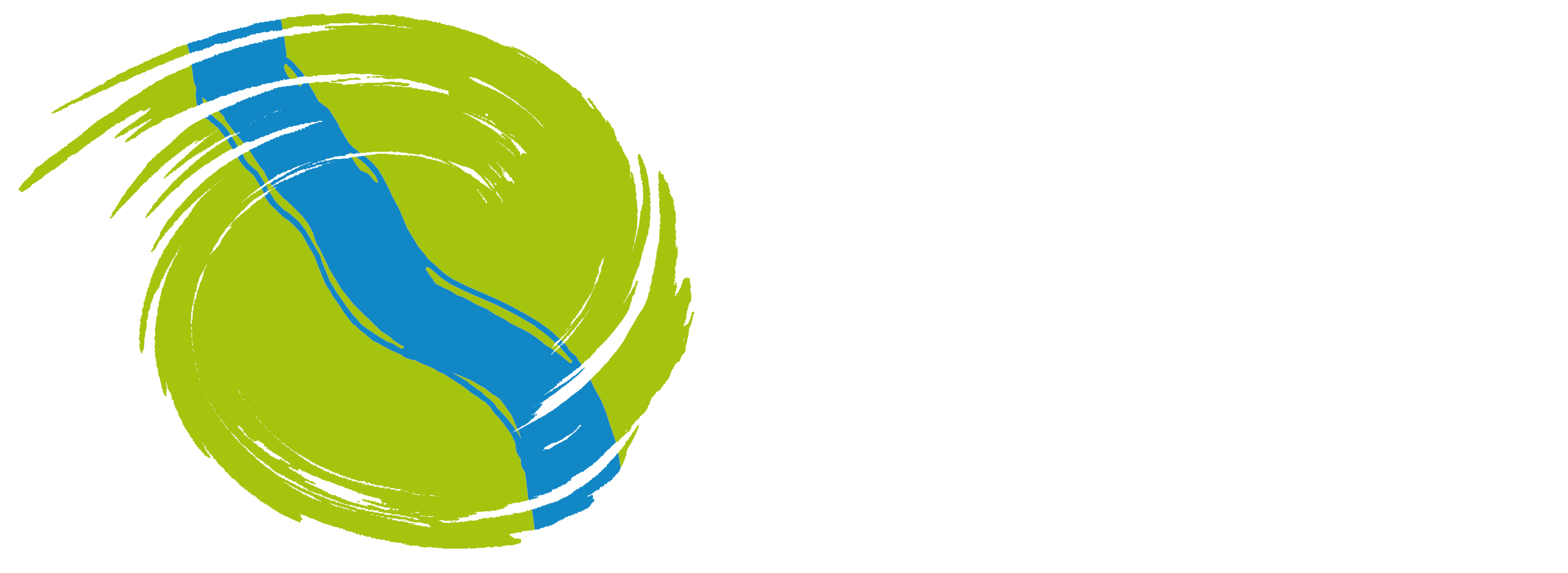 Rhine Clean Up