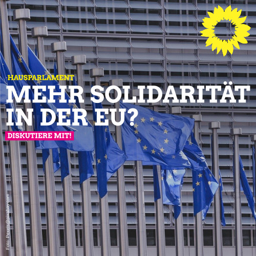 Hausparlament Europäische Solidarität – online